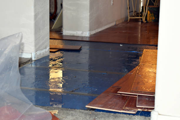 Professional Basement Flood Cleanup technician working in Scottown, OH